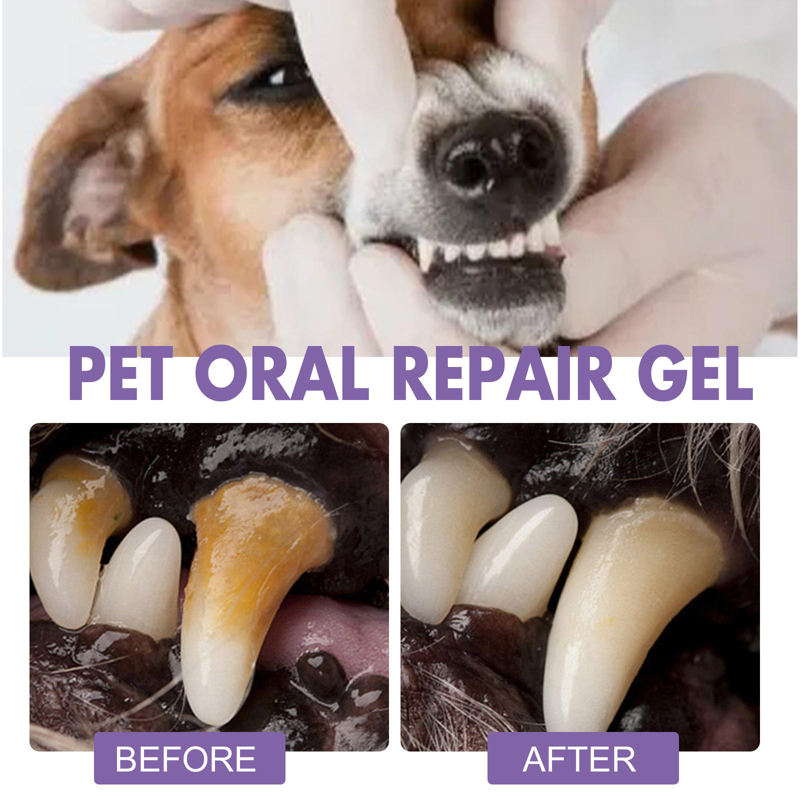 Pet Oral Repair Gel Puppy Tart - Teeth Whitening App review and price