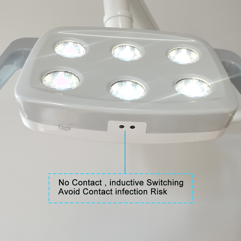 6LED Dental LED Lamp Oral Ligh - Teeth Whitening With Light review and price